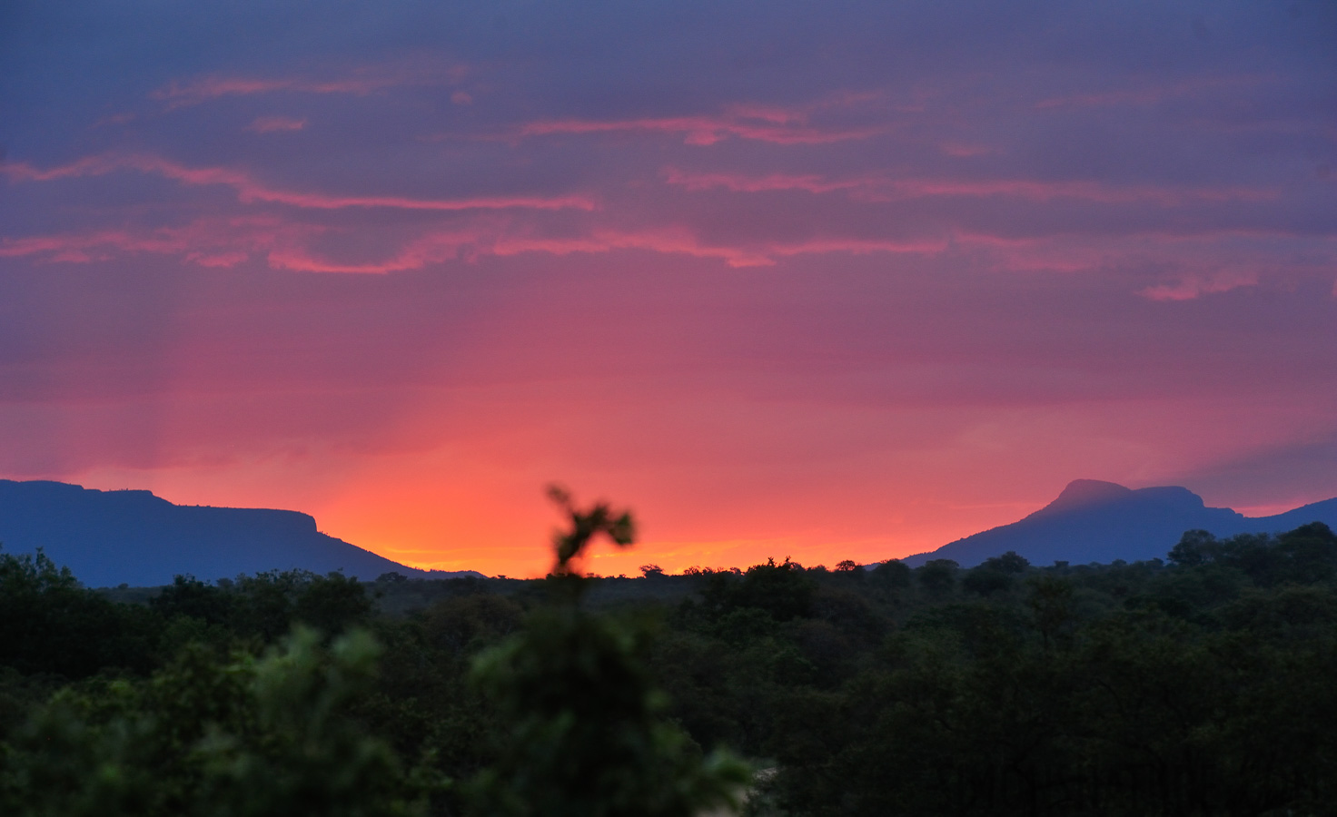 Manyeleti Game Reserve [280 mm, 1/200 Sek. bei f / 6.3, ISO 2000]